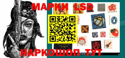spice Бердск