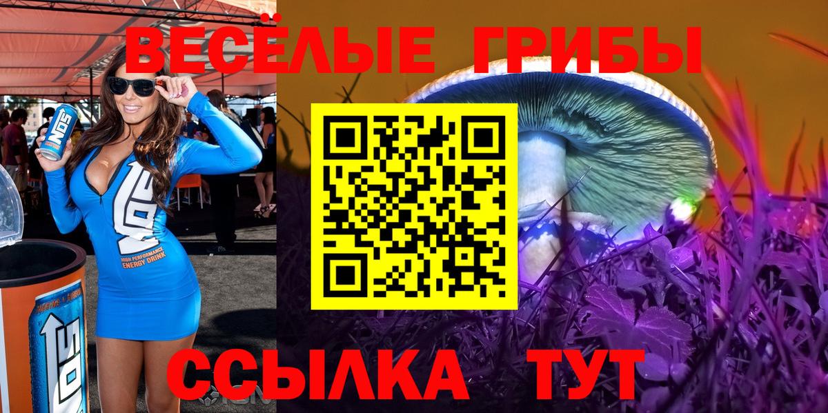 Галлюциногенные грибы мицелий Выборг
