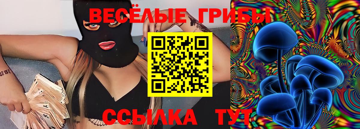 Галлюциногенные грибы Psilocybe  Псилоцибиновые грибы Psilocybine cubensis  Выборг  Вход с VPN 